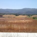 Parcela I-1 Kanpezu 1