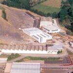 thumbmediomastiloidi_renteria